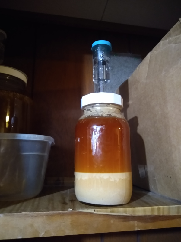 dark golden brown liquid sits atop a dense off-white lees cake in a 32oz glass fermenting jar