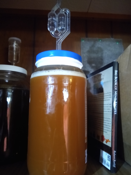 half gallon glass jar with a golden brown liquid with a line of foam at the top