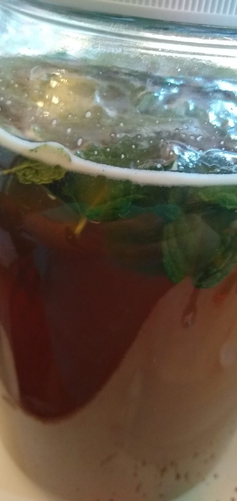 close up view of the top of a glass fermenter showing a dark amber liquid with mint leaves floating in it and a solid line of foamy bubbles at the top